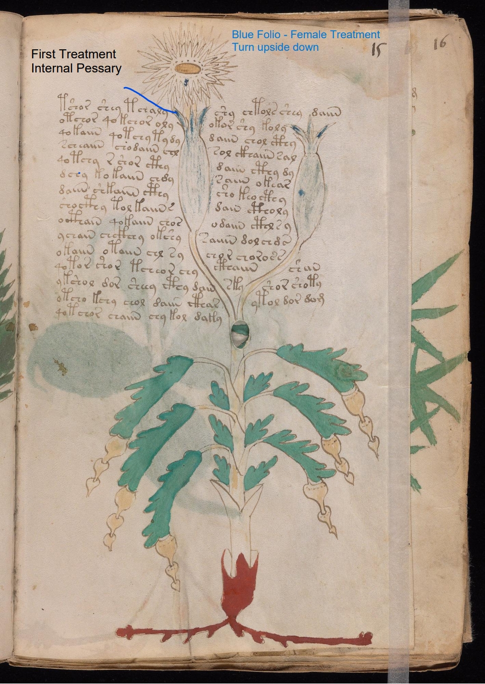 Secondary labelled diagram of Folio 15r